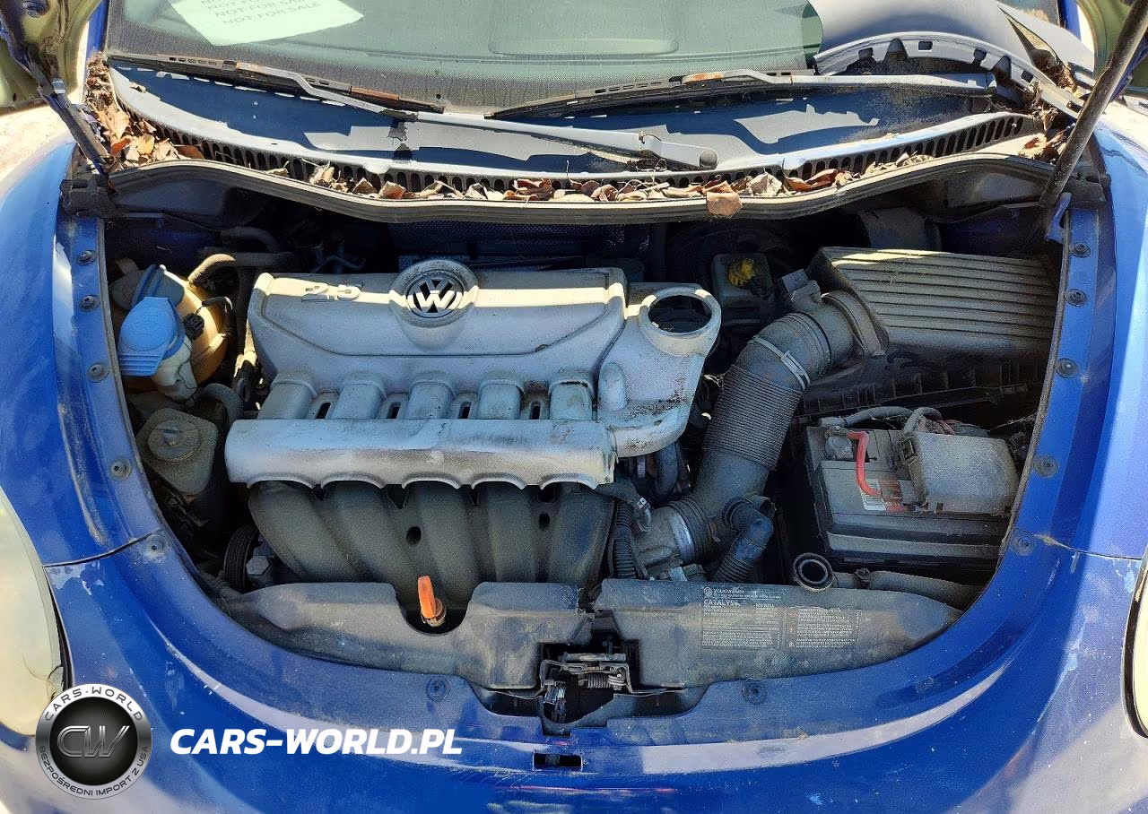 2008 Volkswagen New Beetle S VIN:3VWRG31C18M519609 - 11