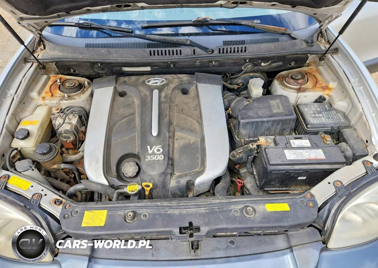2005 Hyundai Santa Fe Gls VIN:KM8SC13E45U916575 - 12