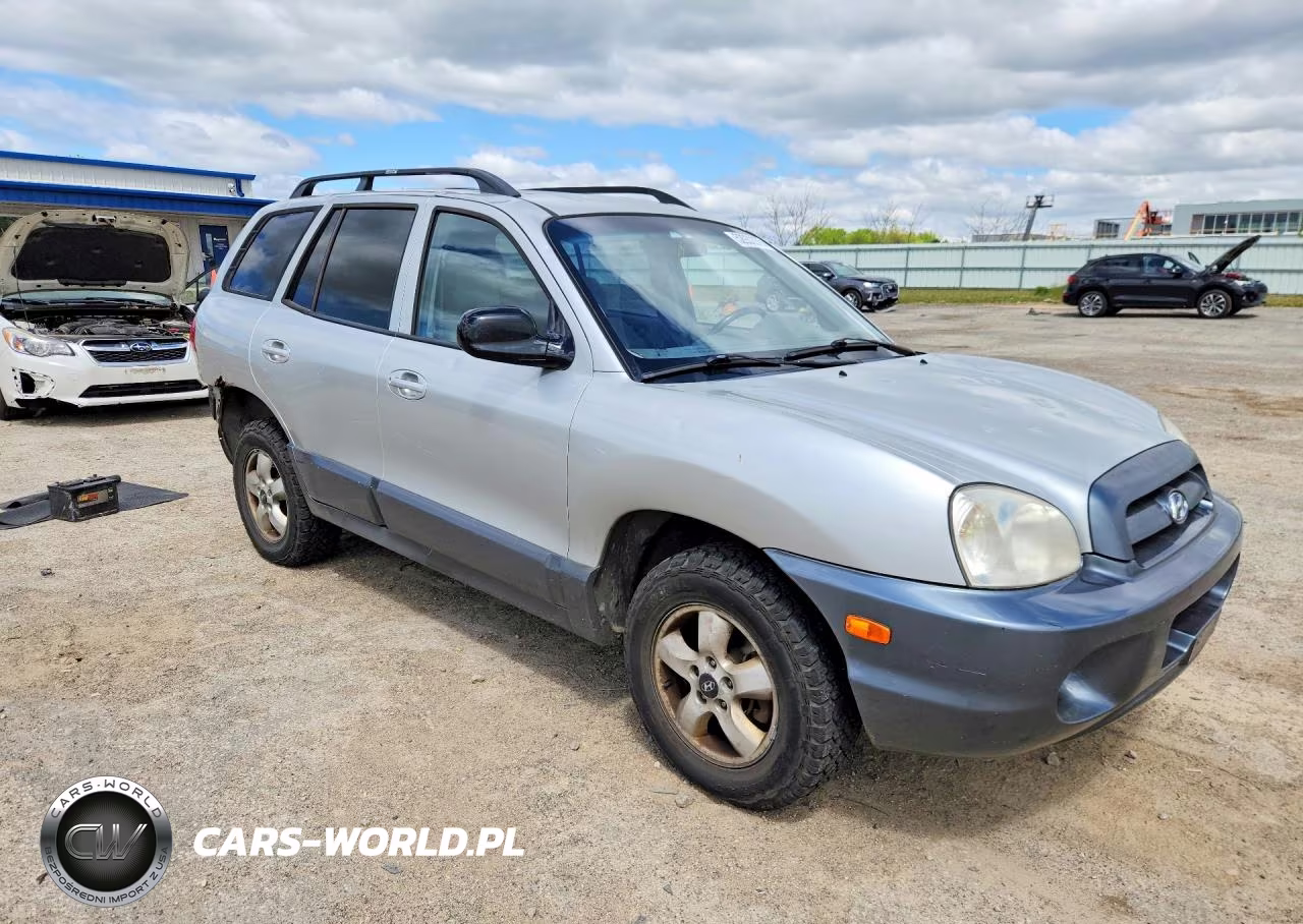 2005 Hyundai Santa Fe Gls VIN:KM8SC13E45U916575 - 4