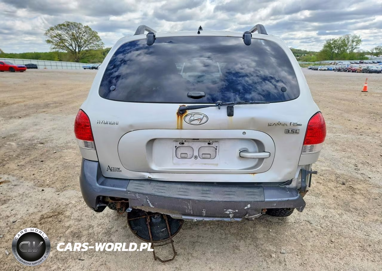 2005 Hyundai Santa Fe Gls VIN:KM8SC13E45U916575 - 6