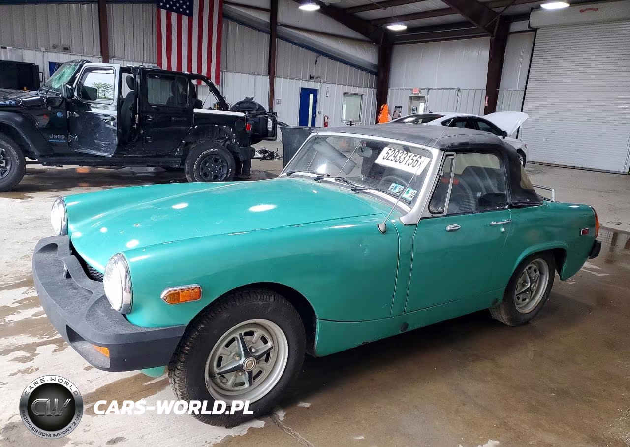 1981 1979 Mg Other