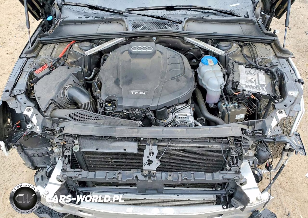 2019 Audi A4 Premium Plus VIN:WAUENAF40KA008455 - 11