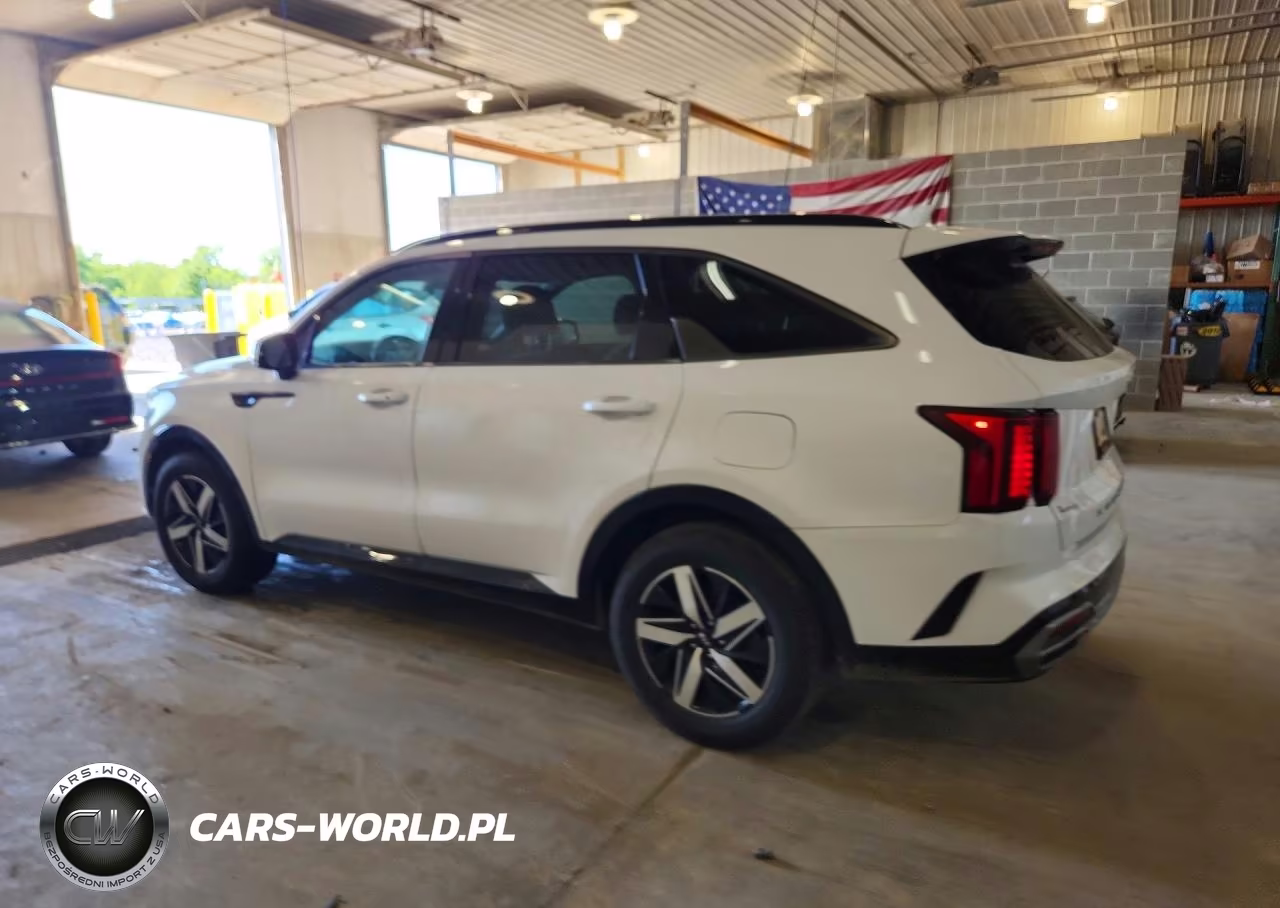 2021 Kia Sorento S VIN:5XYRL4LC5MG008896 - 2