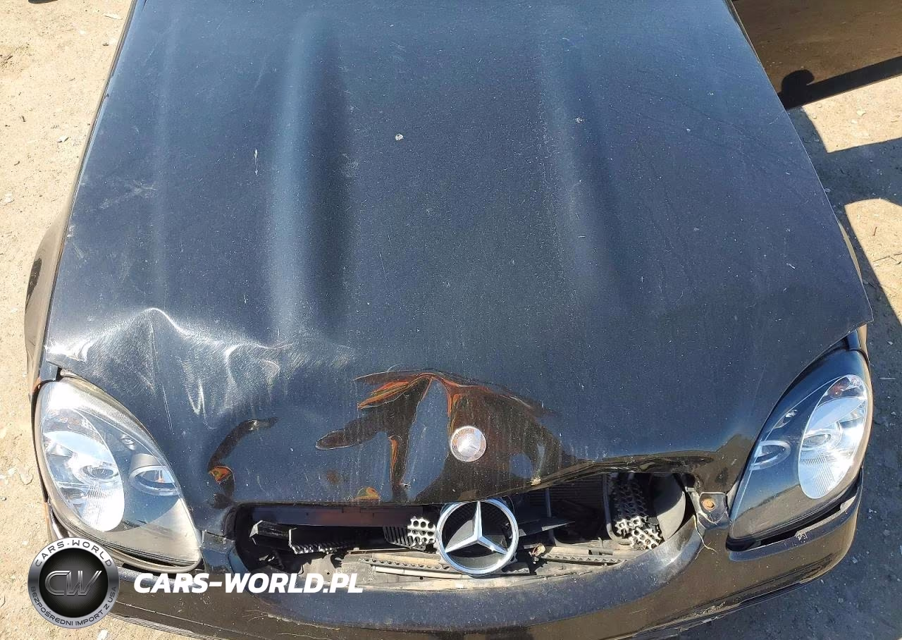 2002 Mercedes-Benz Slk 230 Kompressor VIN:WDBKK49FX2F263032 - 11