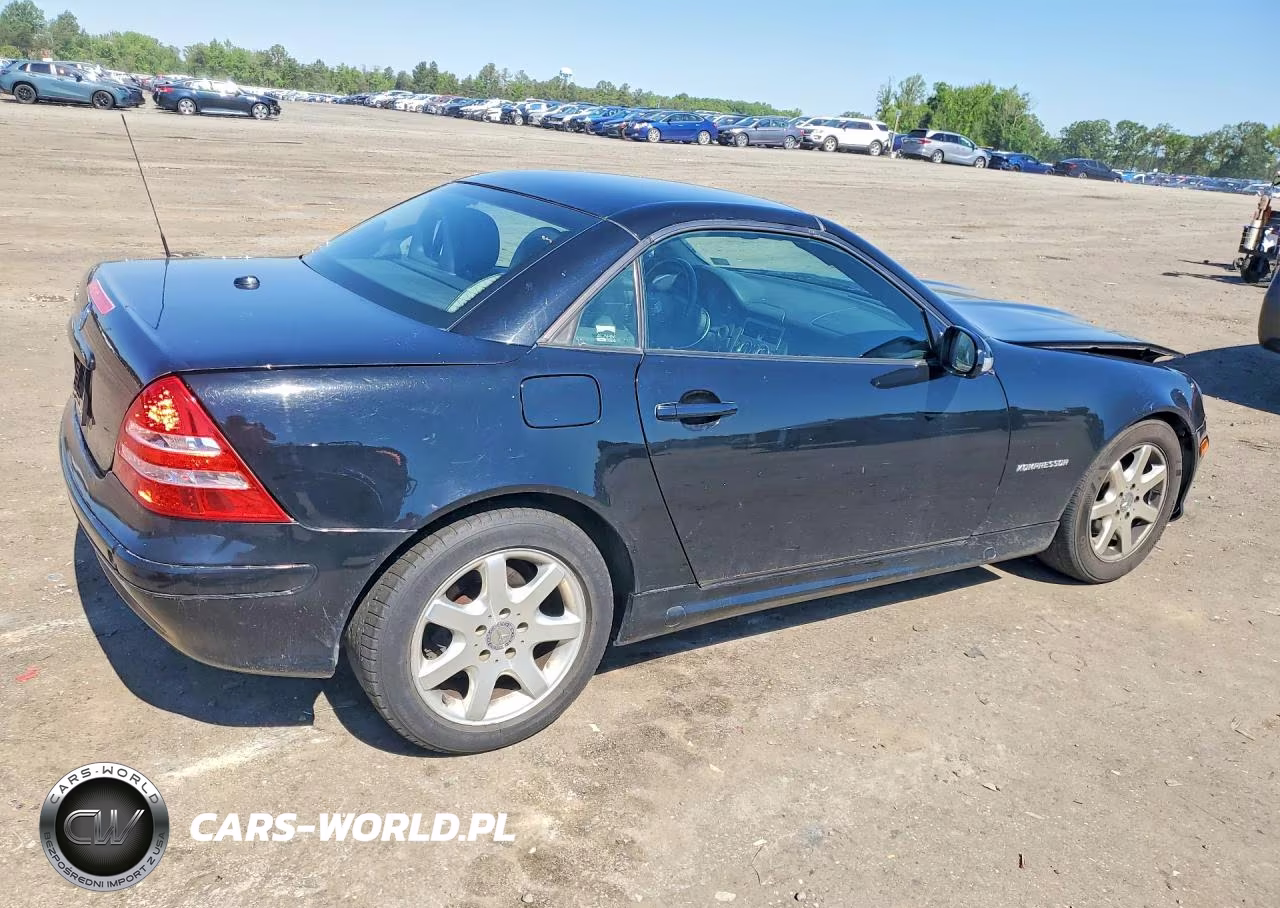2002 Mercedes-Benz Slk 230 Kompressor VIN:WDBKK49FX2F263032 - 3