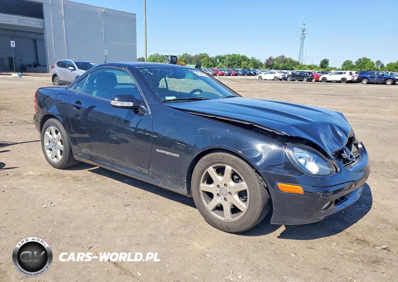2002 Mercedes-Benz Slk 230 Kompressor VIN:WDBKK49FX2F263032 - 4