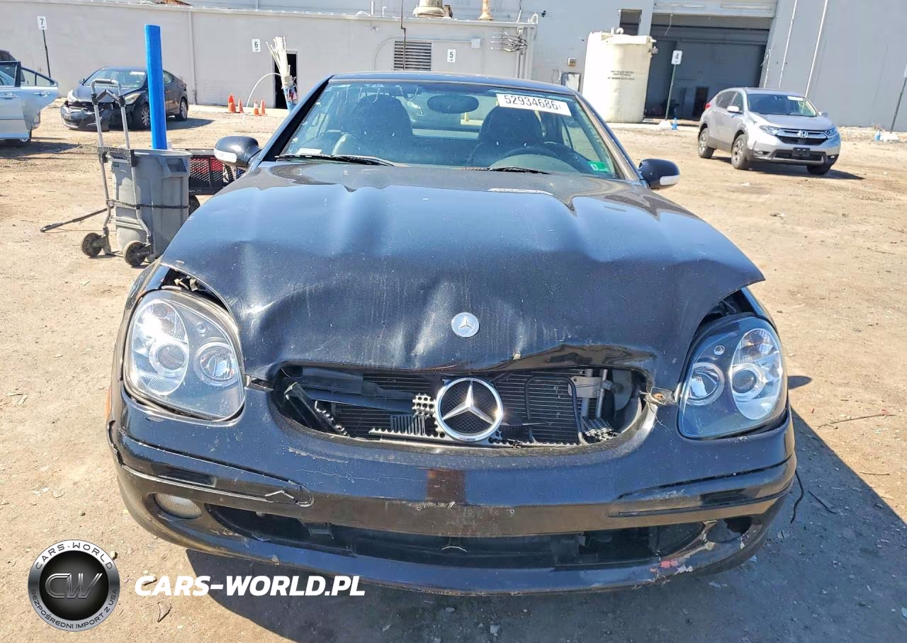 2002 Mercedes-Benz Slk 230 Kompressor VIN:WDBKK49FX2F263032 - 5