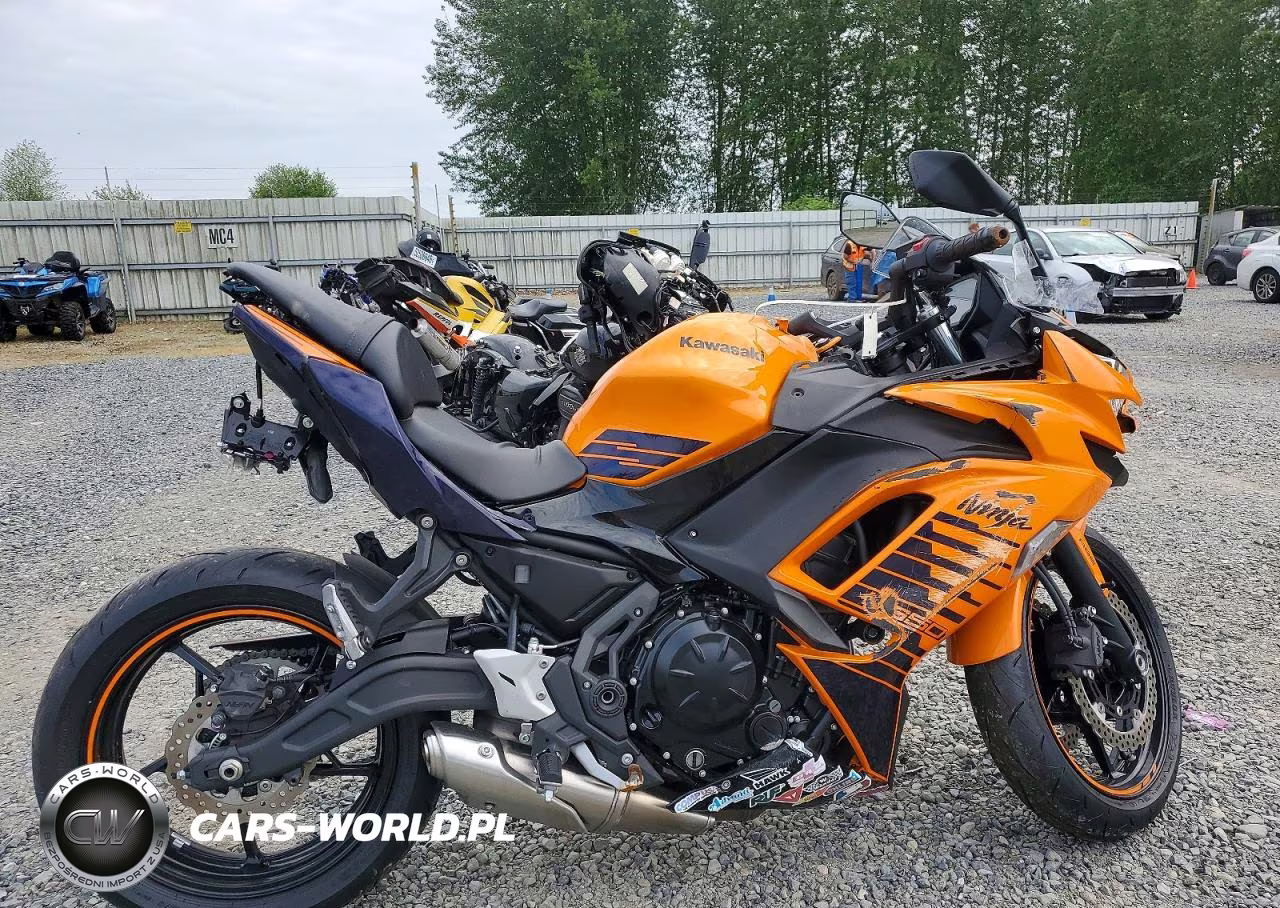 2025 Kawasaki Ex650 P