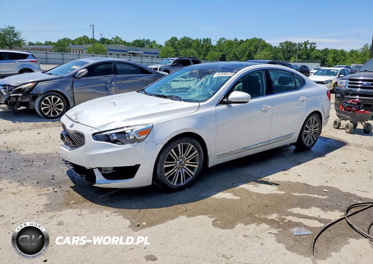 2014 Kia Cadenza Premium