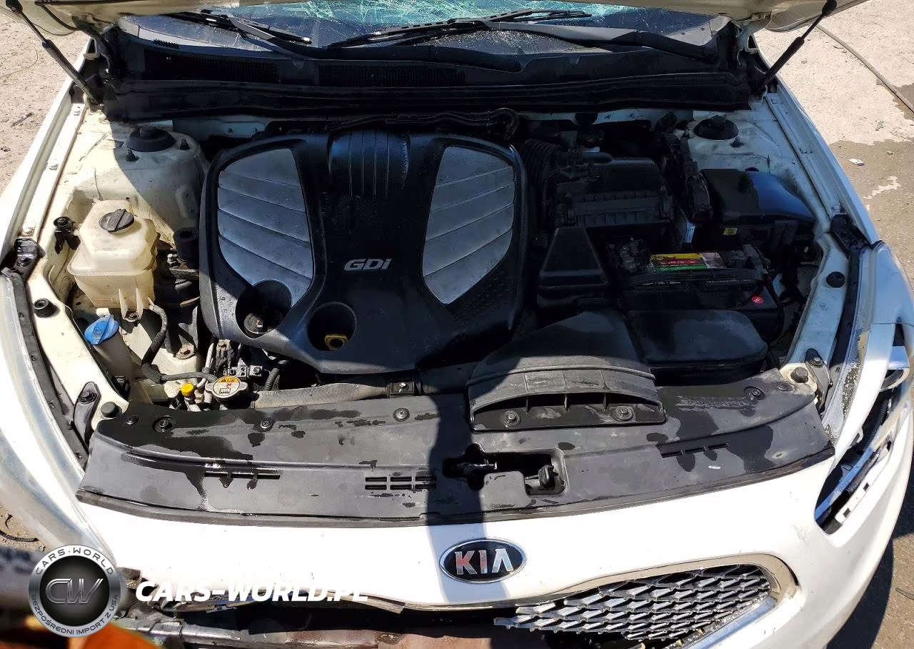 2014 Kia Cadenza Premium VIN:KNALN4D78E5144464 - 11