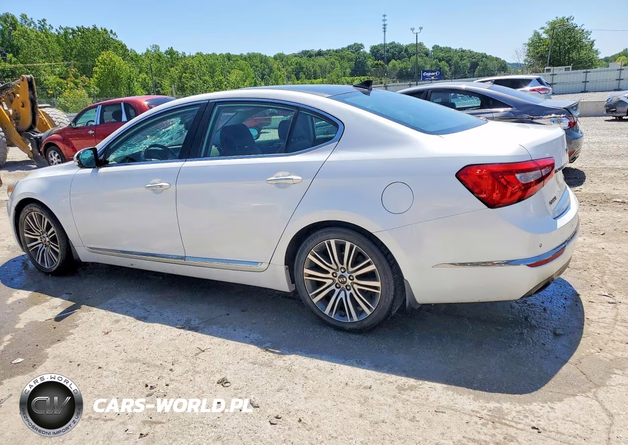 2014 Kia Cadenza Premium VIN:KNALN4D78E5144464 - 2
