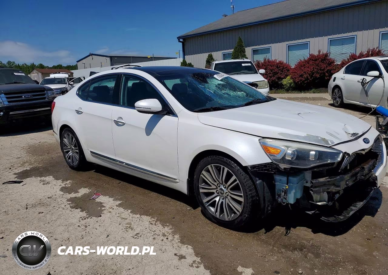2014 Kia Cadenza Premium VIN:KNALN4D78E5144464 - 4