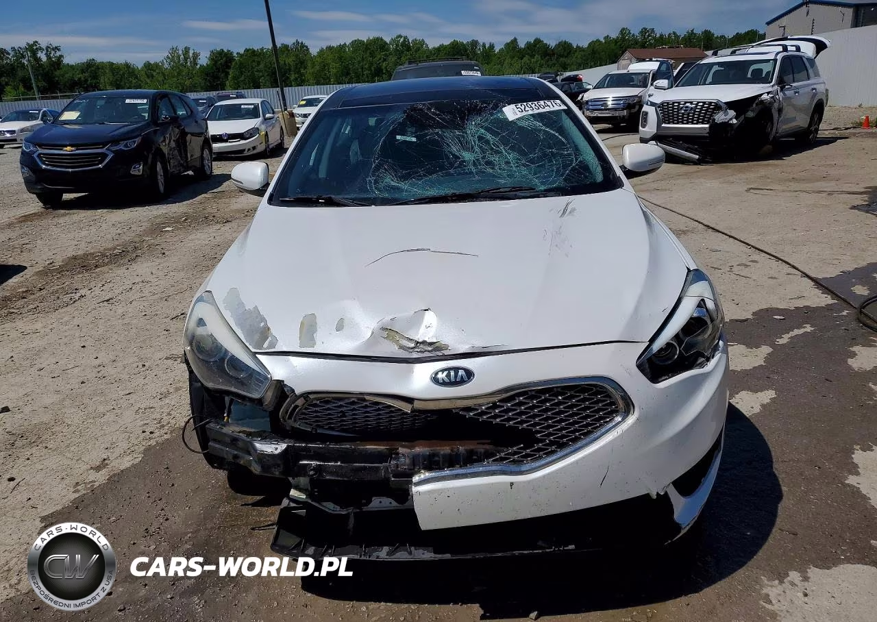 2014 Kia Cadenza Premium VIN:KNALN4D78E5144464 - 5