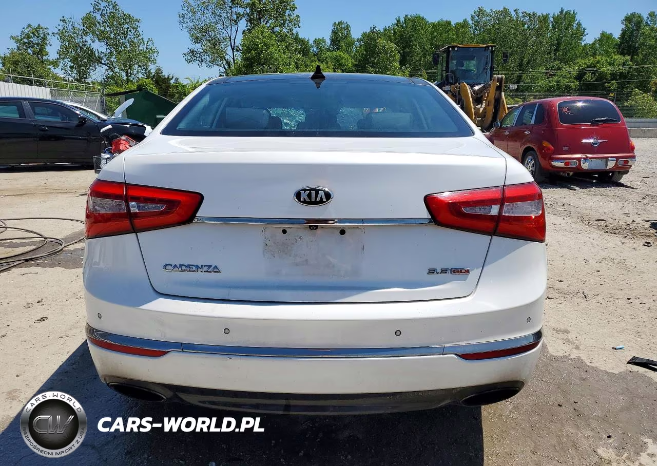 2014 Kia Cadenza Premium VIN:KNALN4D78E5144464 - 6