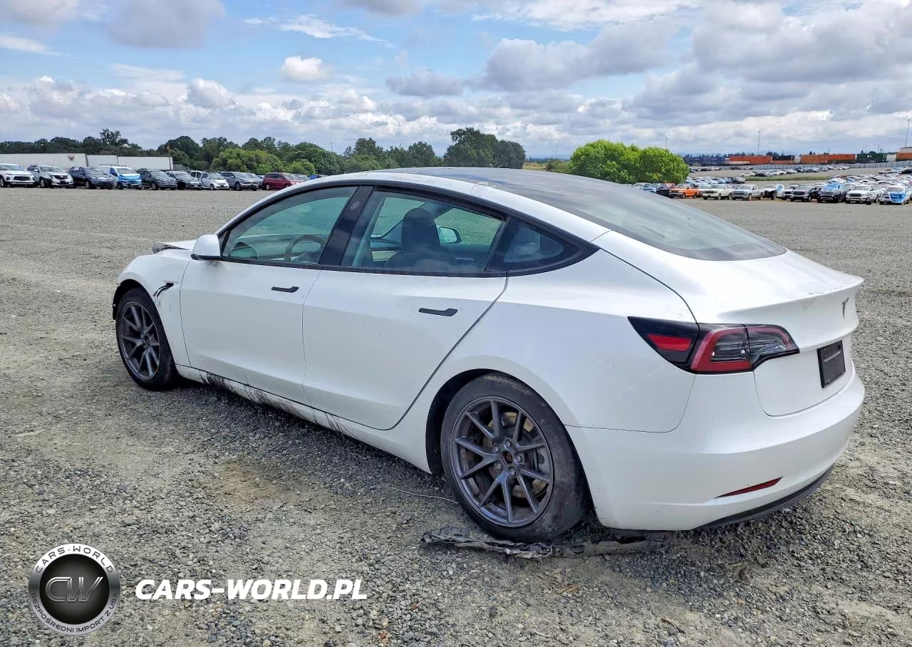 2023 Tesla Model 3 VIN:5YJ3E1EAXPF570850 - 2