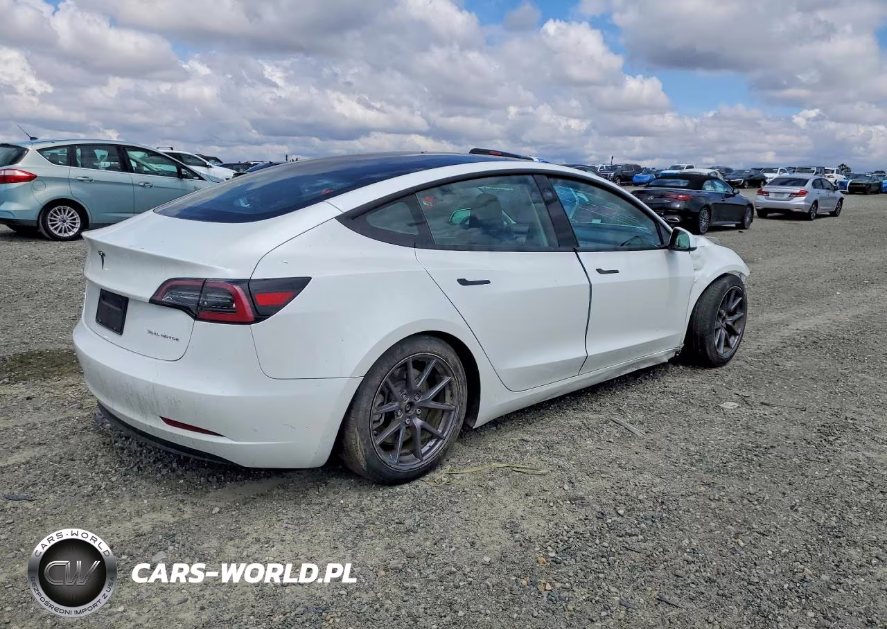 2023 Tesla Model 3 VIN:5YJ3E1EAXPF570850 - 3