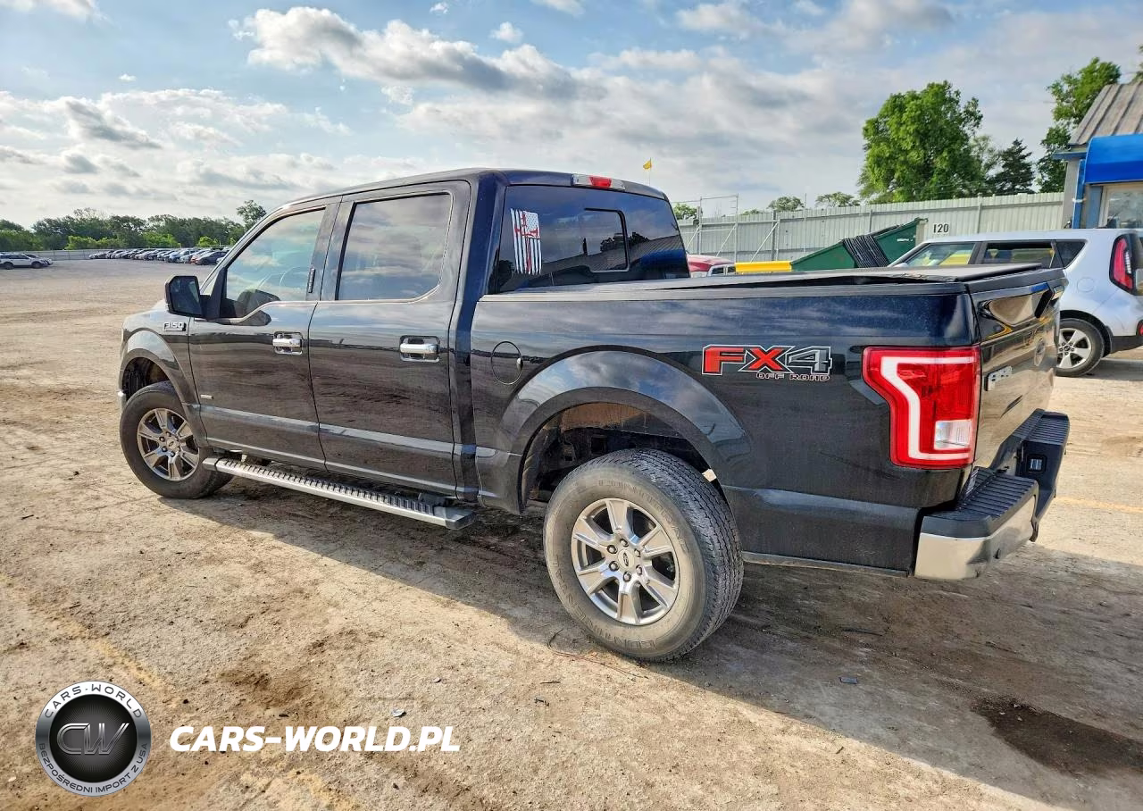 2016 Ford F150 Supercrew VIN:1FTEW1EP2GFB53096 - 2