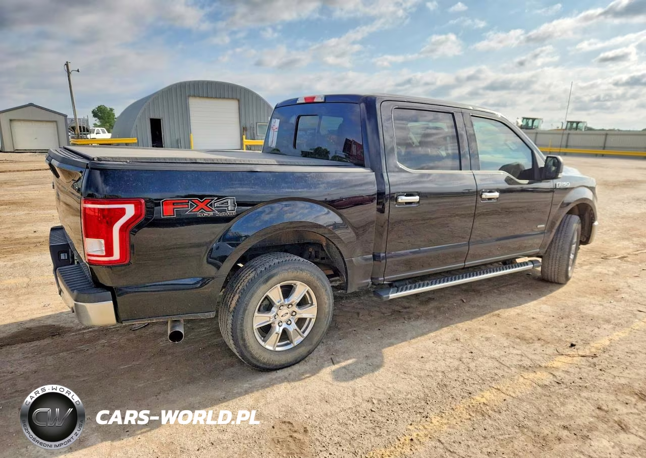 2016 Ford F150 Supercrew VIN:1FTEW1EP2GFB53096 - 3