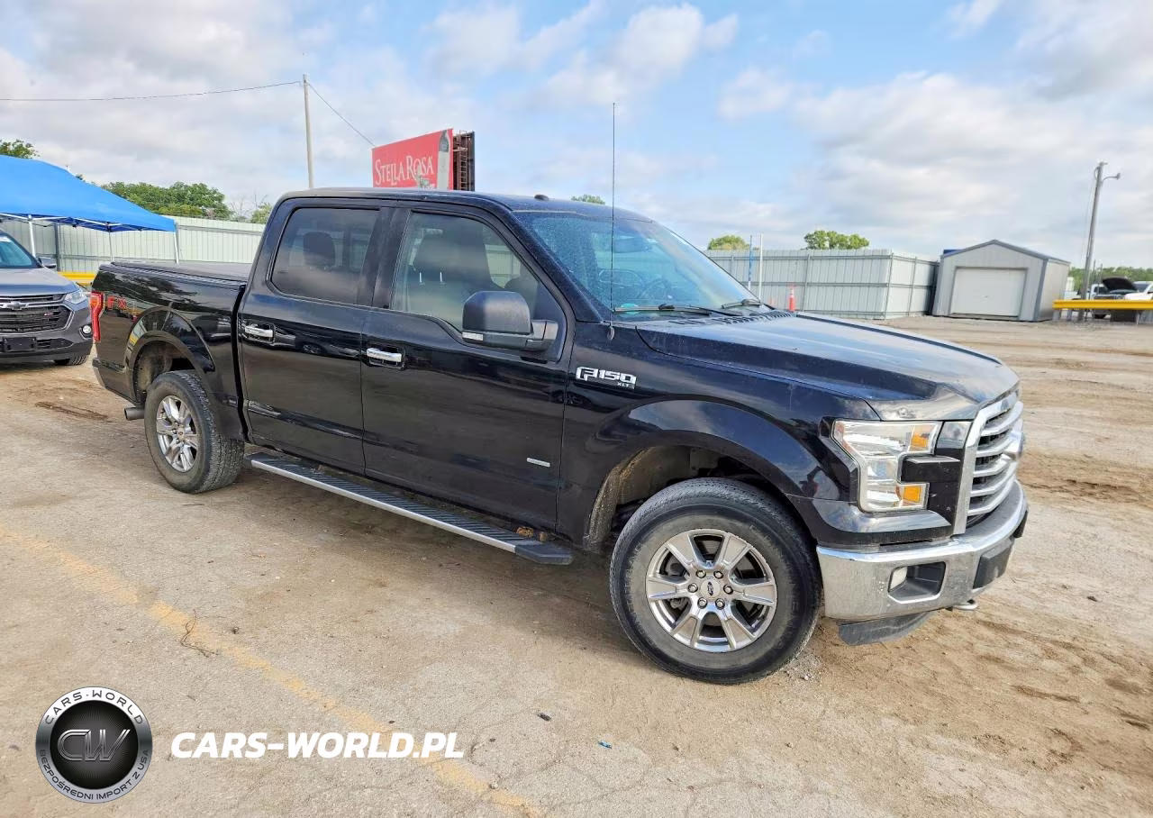 2016 Ford F150 Supercrew VIN:1FTEW1EP2GFB53096 - 4