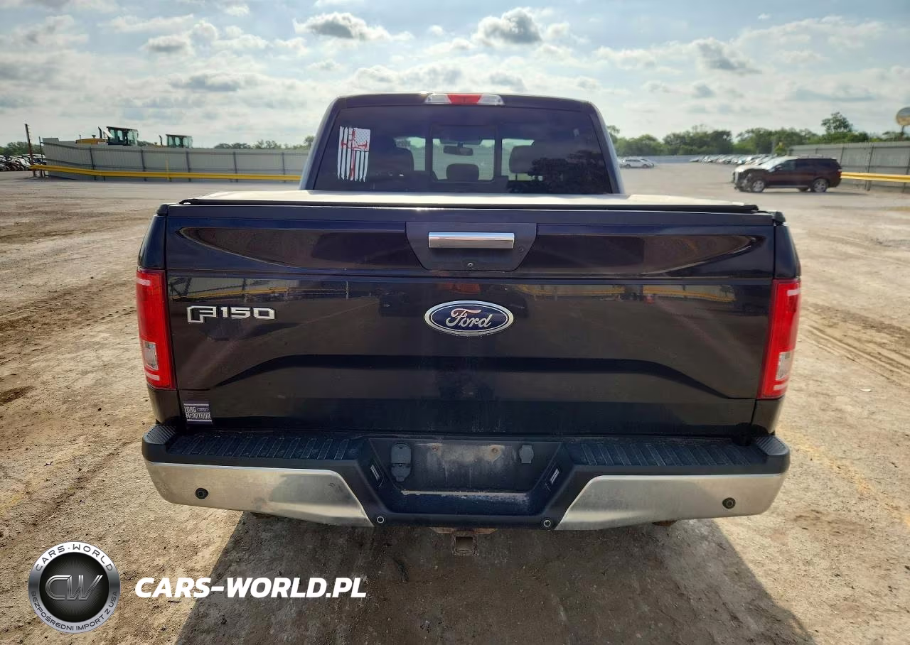 2016 Ford F150 Supercrew VIN:1FTEW1EP2GFB53096 - 6