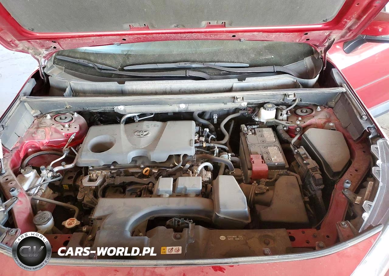 2024 Toyota Rav4 Xle VIN:2T3W1RFV0RW309006 - 11