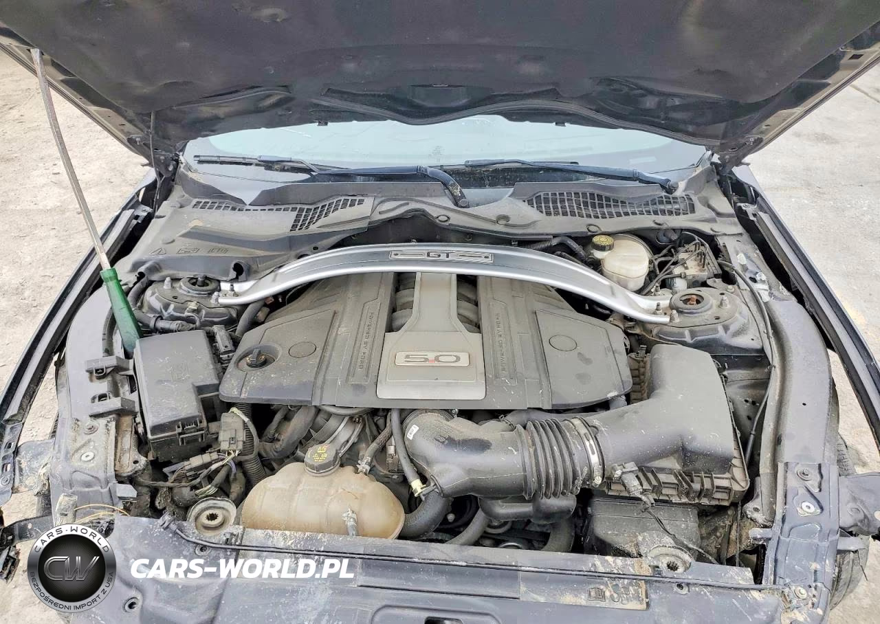 2020 Ford Mustang Gt VIN:1FA6P8CF2L5127172 - 11