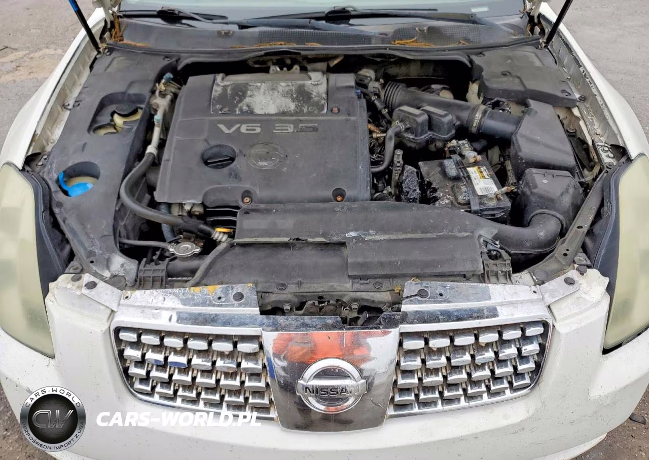 2004 Nissan Maxima 3.5 Se VIN:1N4BA41E34C904782 - 11