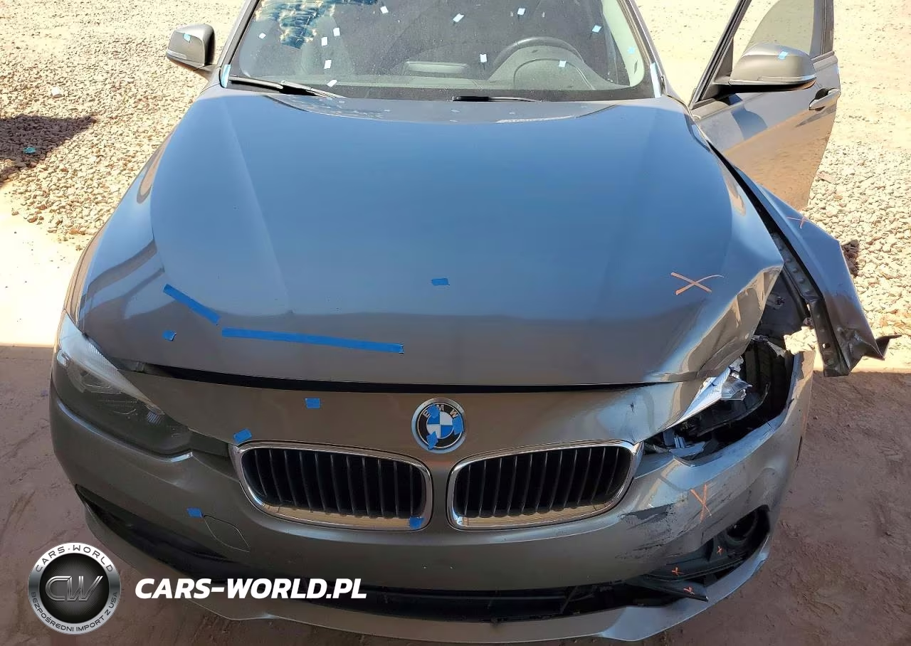 2016 BMW 320 I VIN:WBA8E1G59GNT34047 - 11