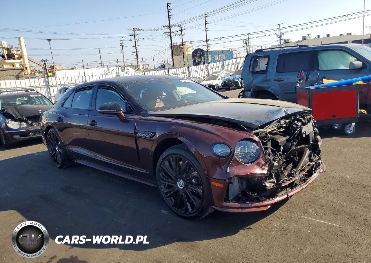 2025 Bentley Flying Spur Speed VIN:SCBBR6ZG1SC022479 - 4