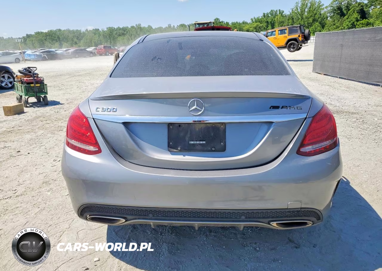 2016 Mercedes-Benz C 300 VIN:55SWF4JB8GU127461 - 6