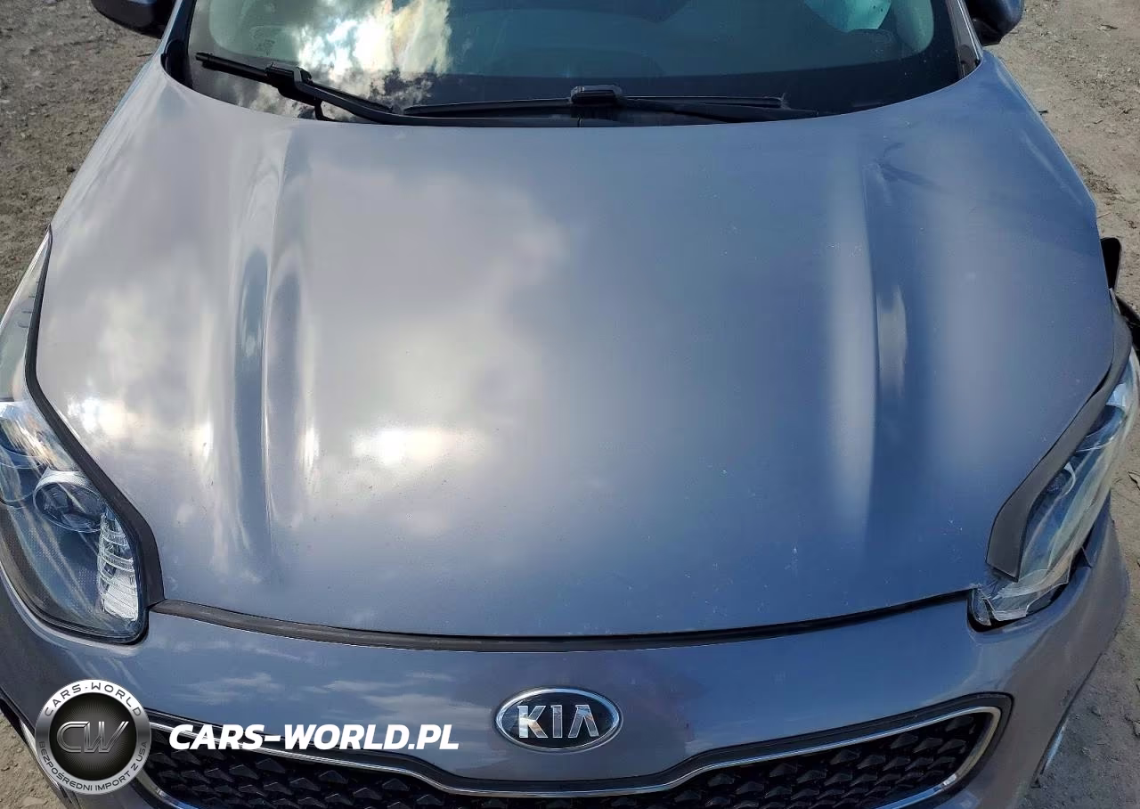 2017 Kia Sportage Lx VIN:KNDPMCAC2H7285560 - 11