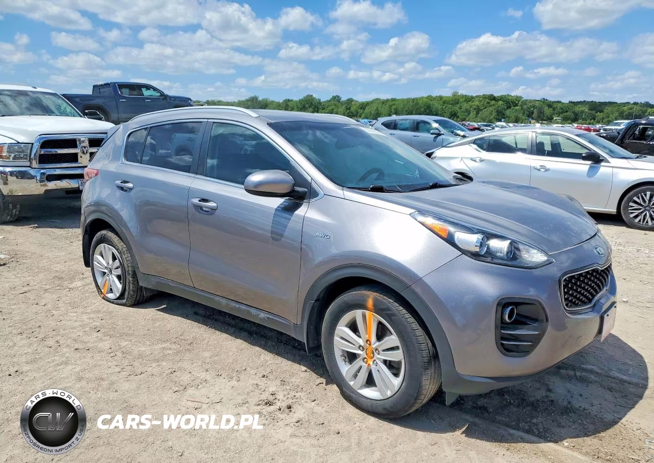 2017 Kia Sportage Lx VIN:KNDPMCAC2H7285560 - 4