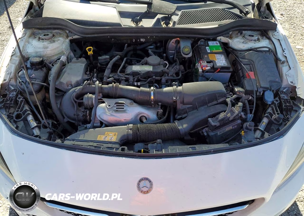 2014 Mercedes-Benz Cla 250 VIN:WDDSJ4EB9EN038205 - 11