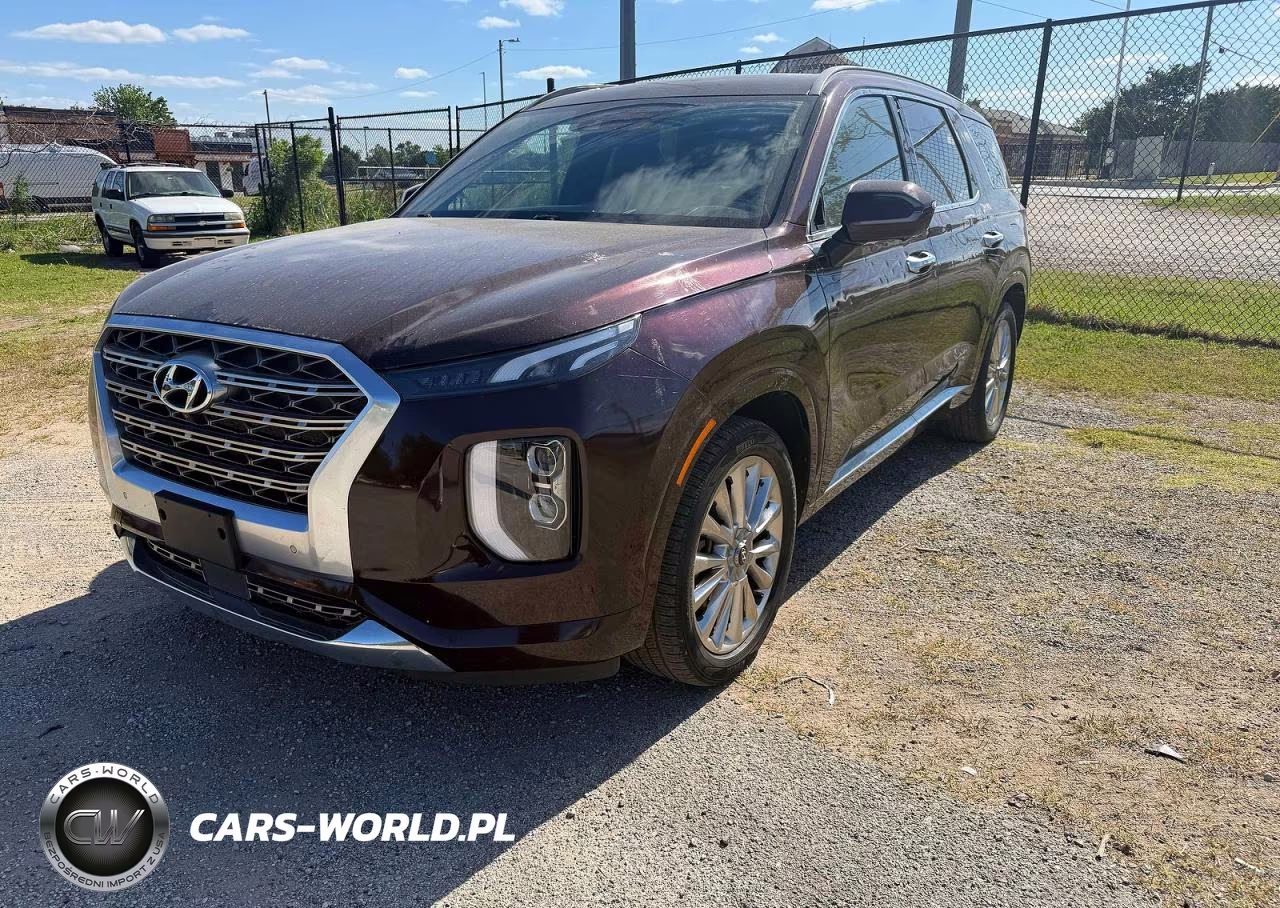2020 Hyundai Palisade Limited VIN:KM8R54HE7LU054999 - 2