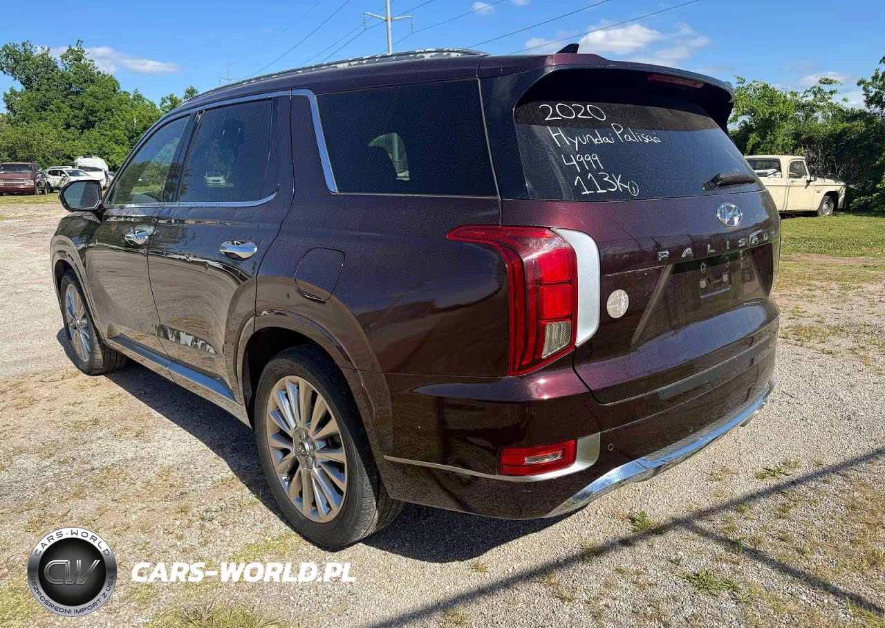 2020 Hyundai Palisade Limited VIN:KM8R54HE7LU054999 - 3