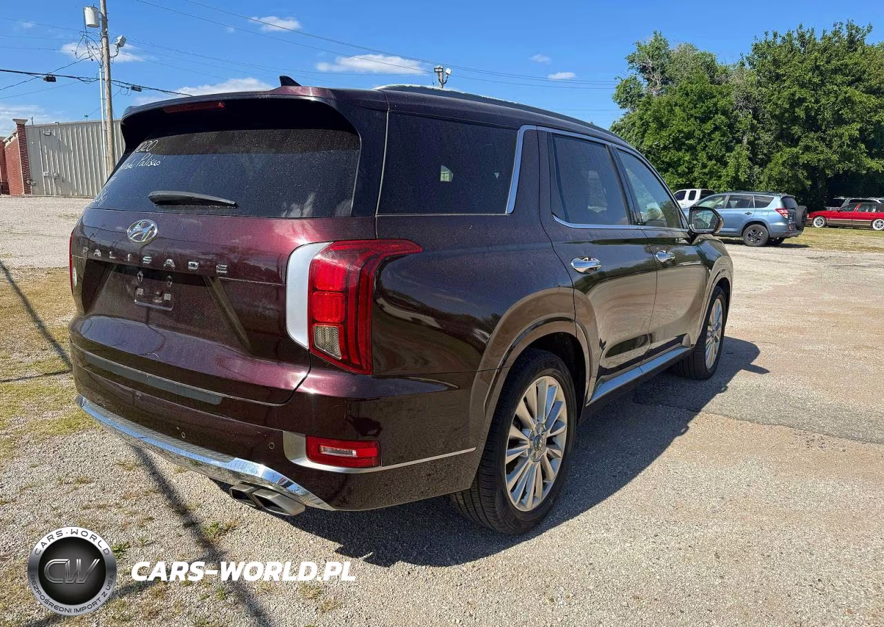 2020 Hyundai Palisade Limited VIN:KM8R54HE7LU054999 - 4