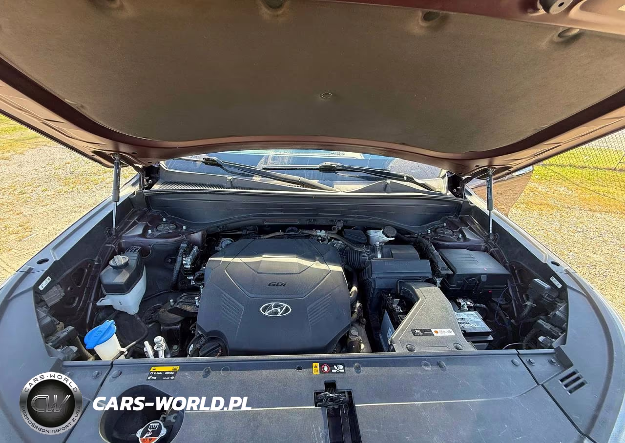 2020 Hyundai Palisade Limited VIN:KM8R54HE7LU054999 - 7