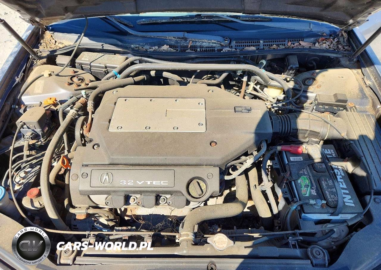 2003 Acura 3.2Tl VIN:19UUA56783A010551 - 11