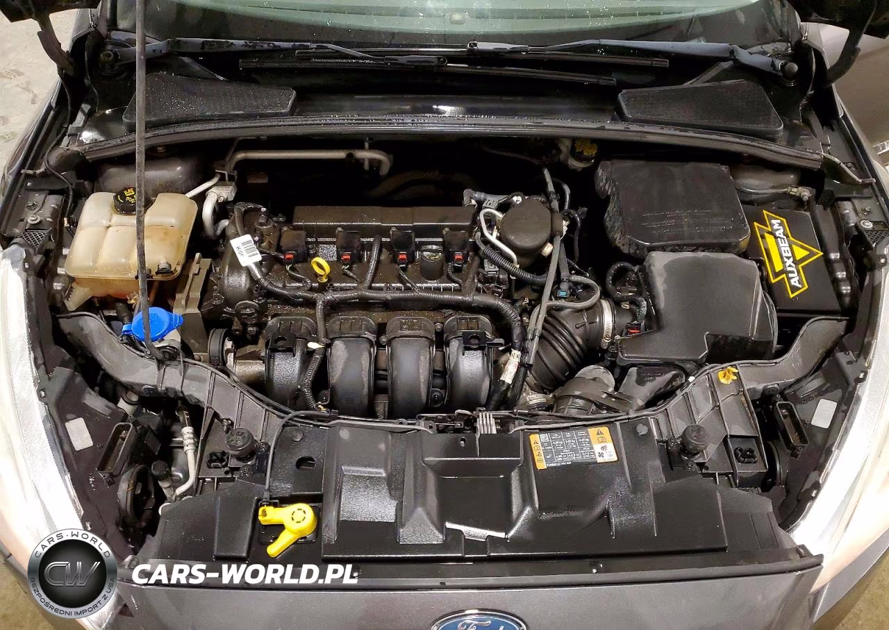 2015 Ford Focus Se VIN:1FADP3F20FL230092 - 11