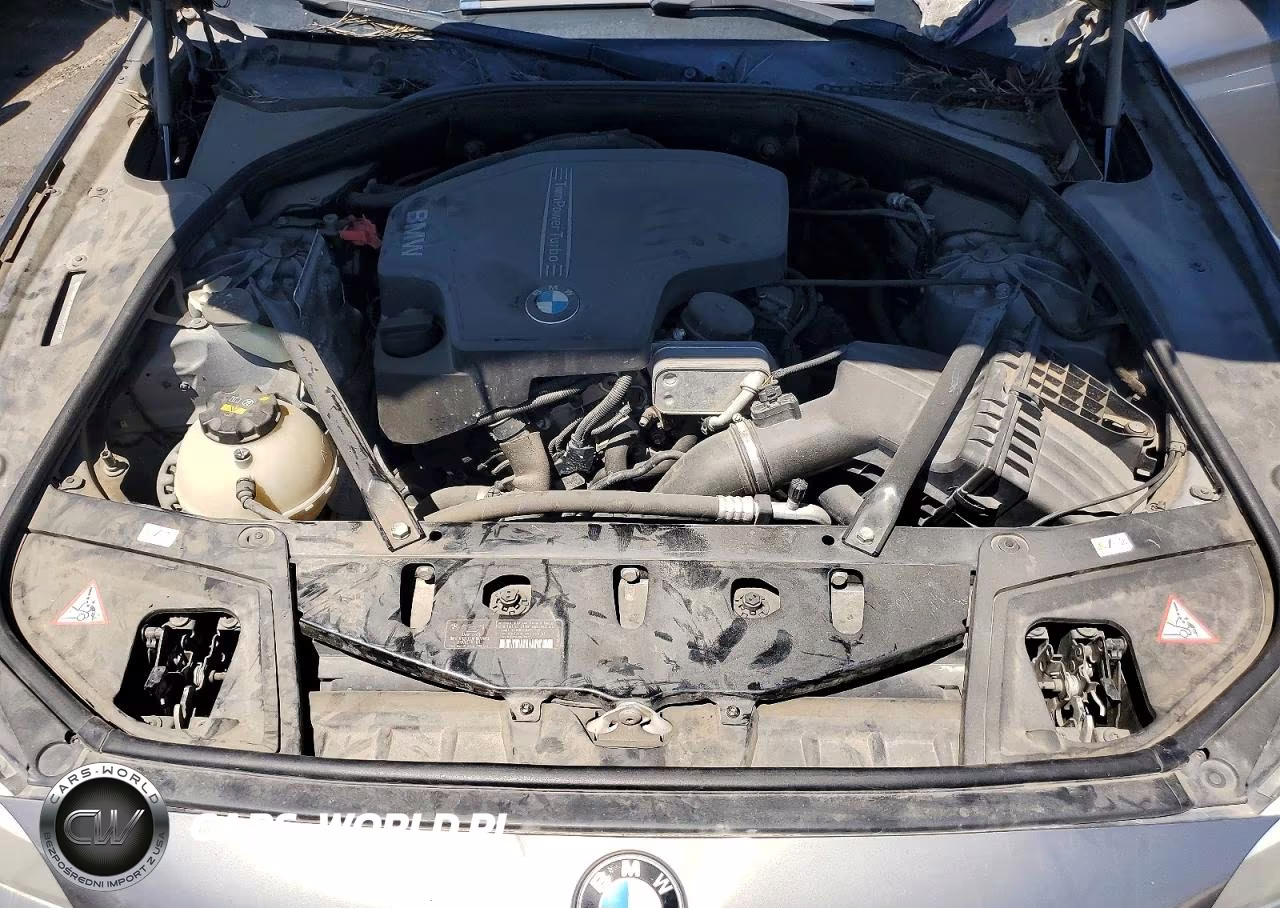 2013 BMW 528 I VIN:WBAXG5C50DDY33954 - 11
