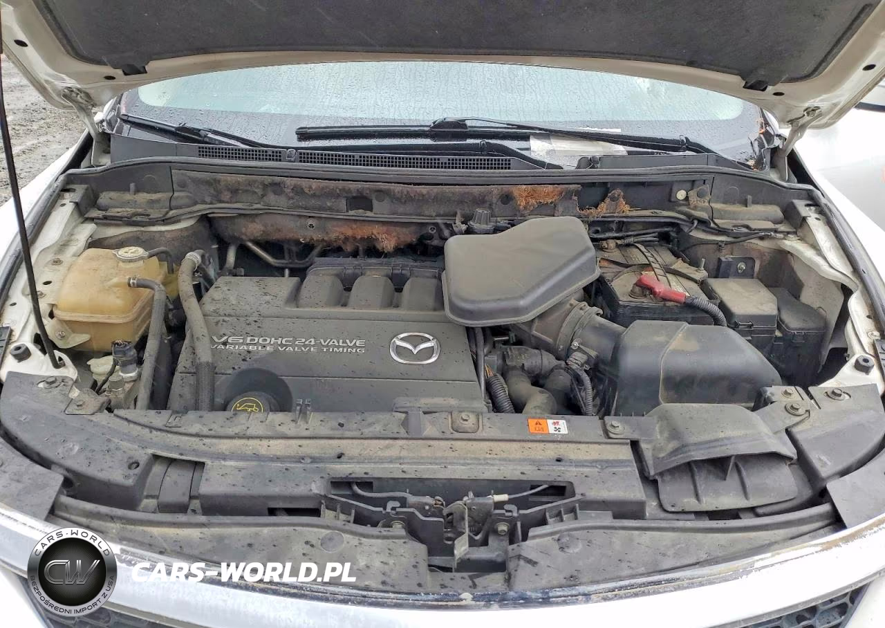 2008 Mazda Cx-9 VIN:JM3TB28V880139864 - 12