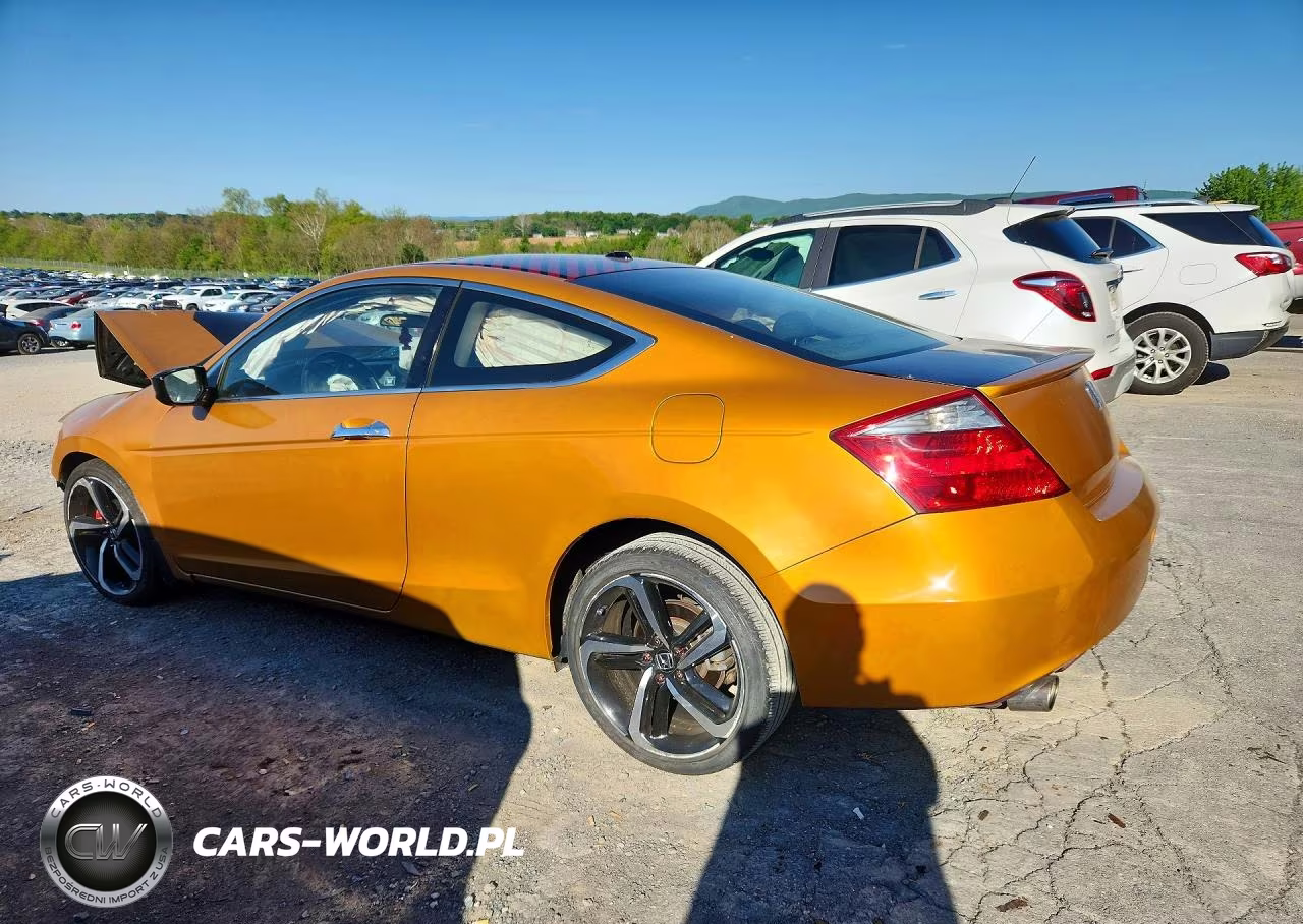 2010 Honda Accord Exl VIN:1HGCS2A89AA008151 - 2