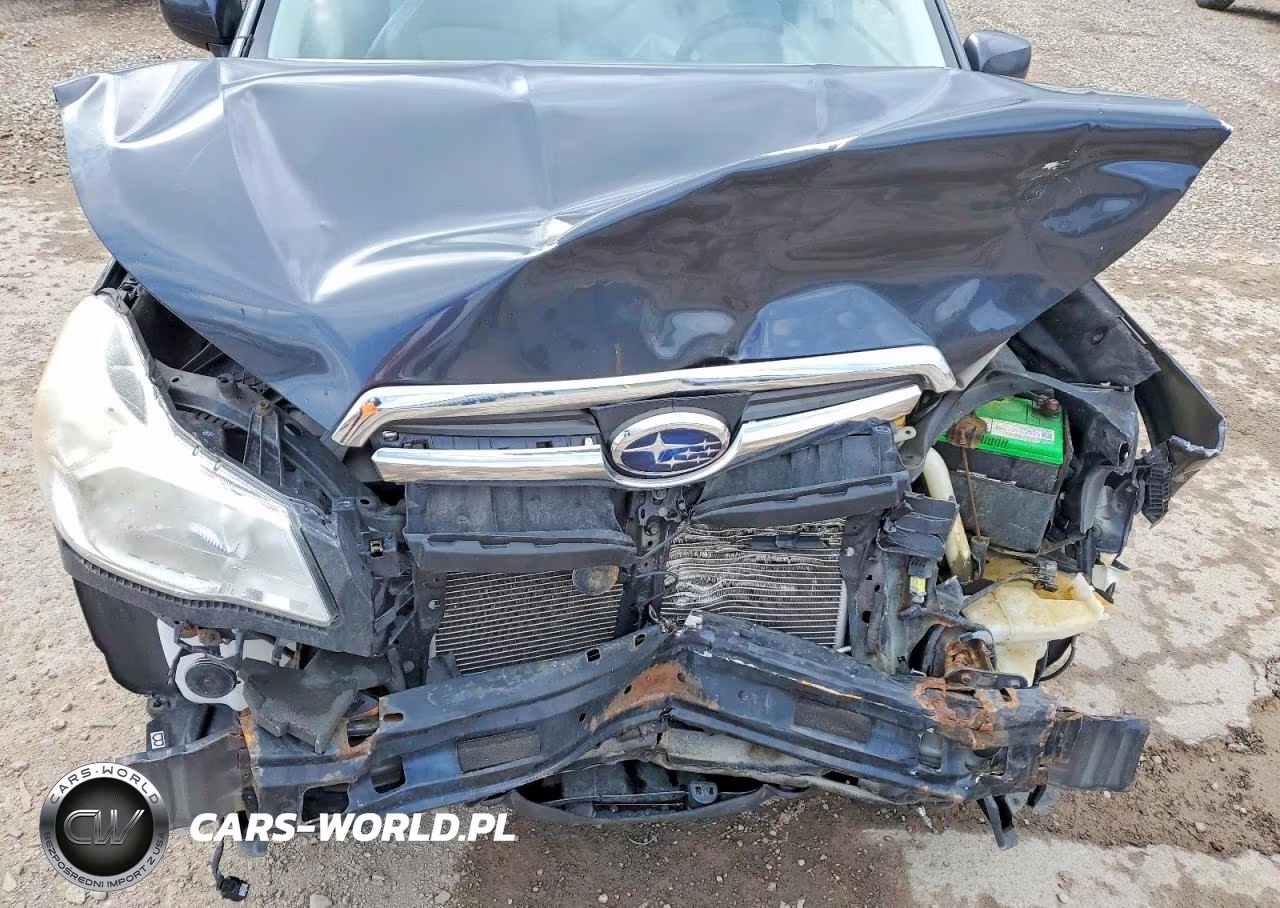 2014 Subaru Forester 2.5I Premium VIN:JF2SJAECXEH495056 - 12