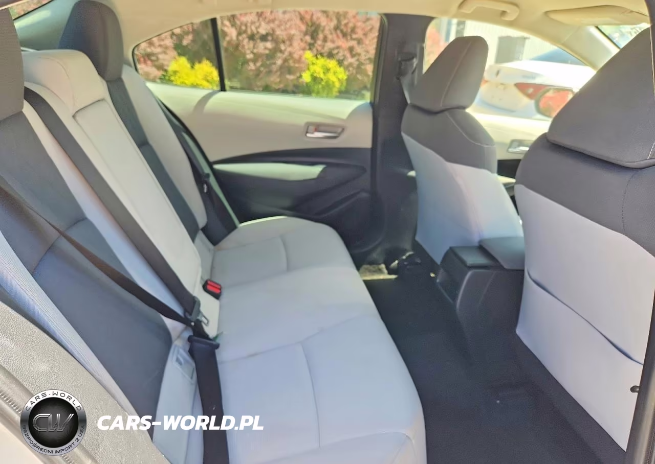 2020 Toyota Corolla Le VIN:JTDEPRAE2LJ100339 - 10
