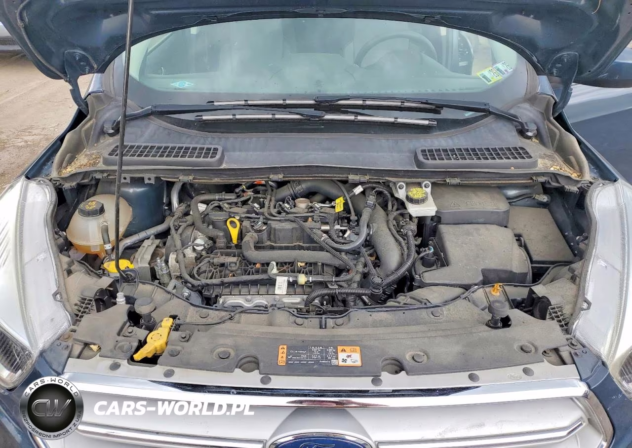 2019 Ford Escape Se VIN:1FMCU9GD7KUA49301 - 12