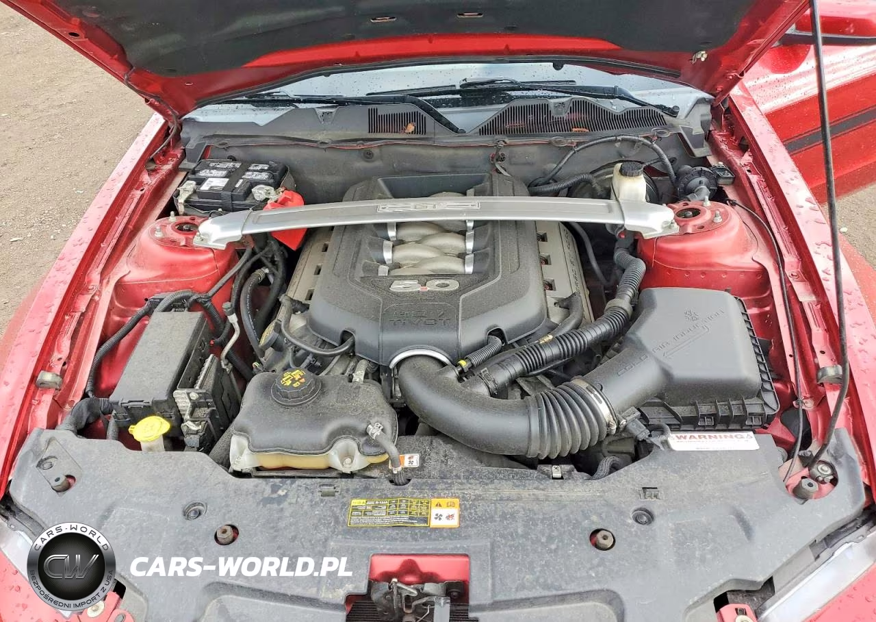 2011 Ford Mustang V6 VIN:1ZVBP8FF4B5101818 - 11