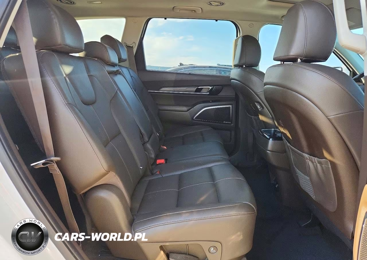 2020 Kia Telluride Sx VIN:5XYP5DHC8LG013552 - 11