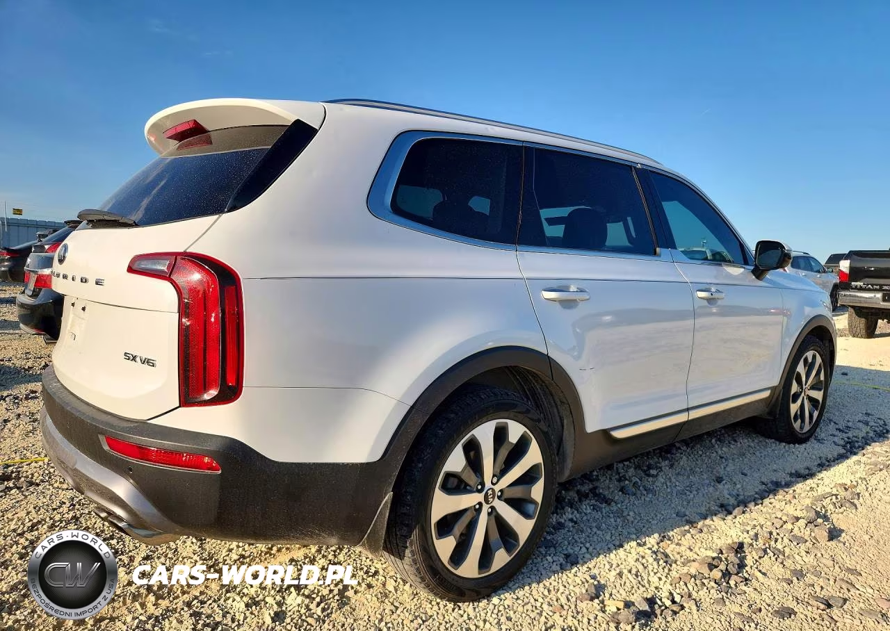 2020 Kia Telluride Sx VIN:5XYP5DHC8LG013552 - 3