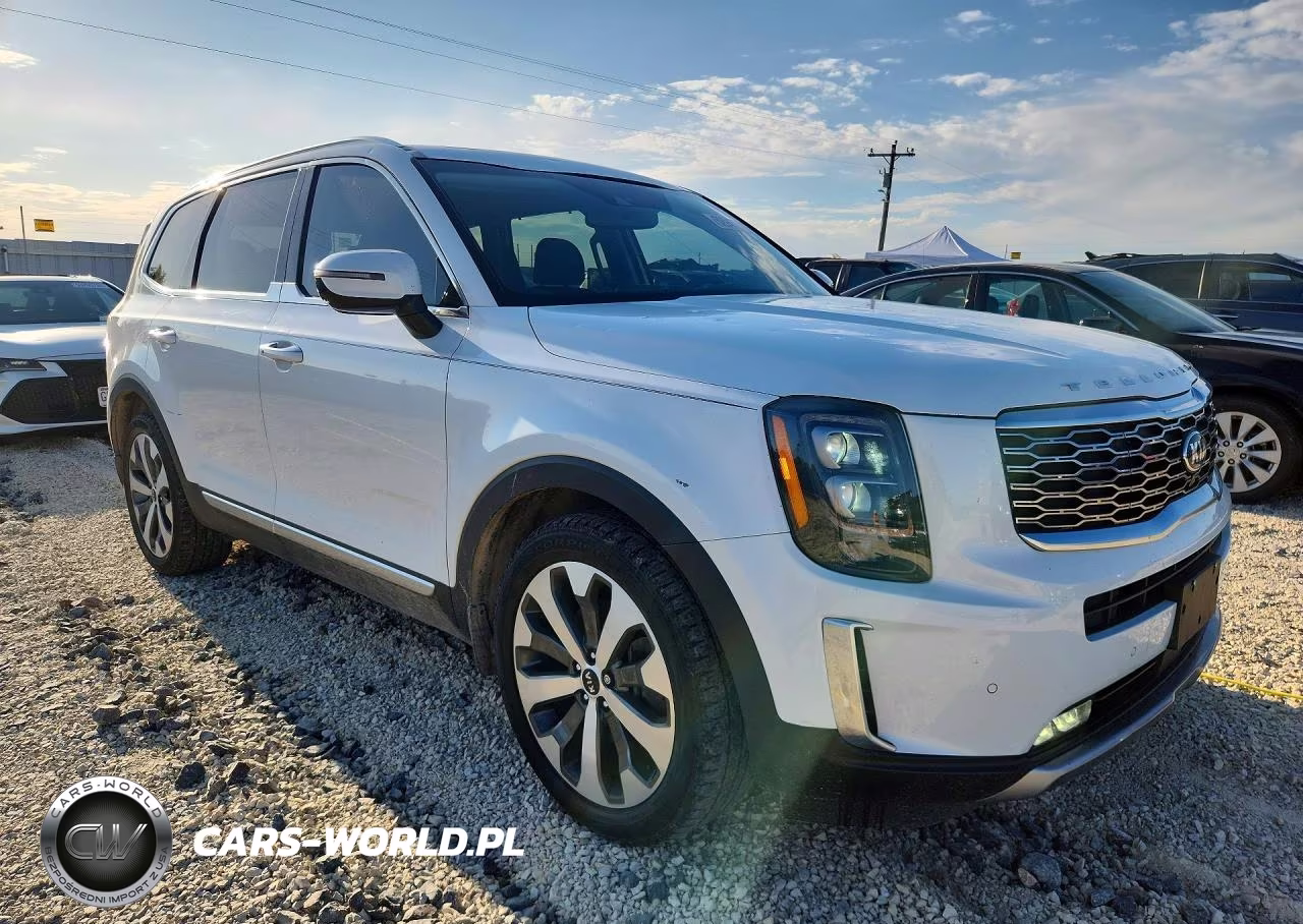2020 Kia Telluride Sx VIN:5XYP5DHC8LG013552 - 4
