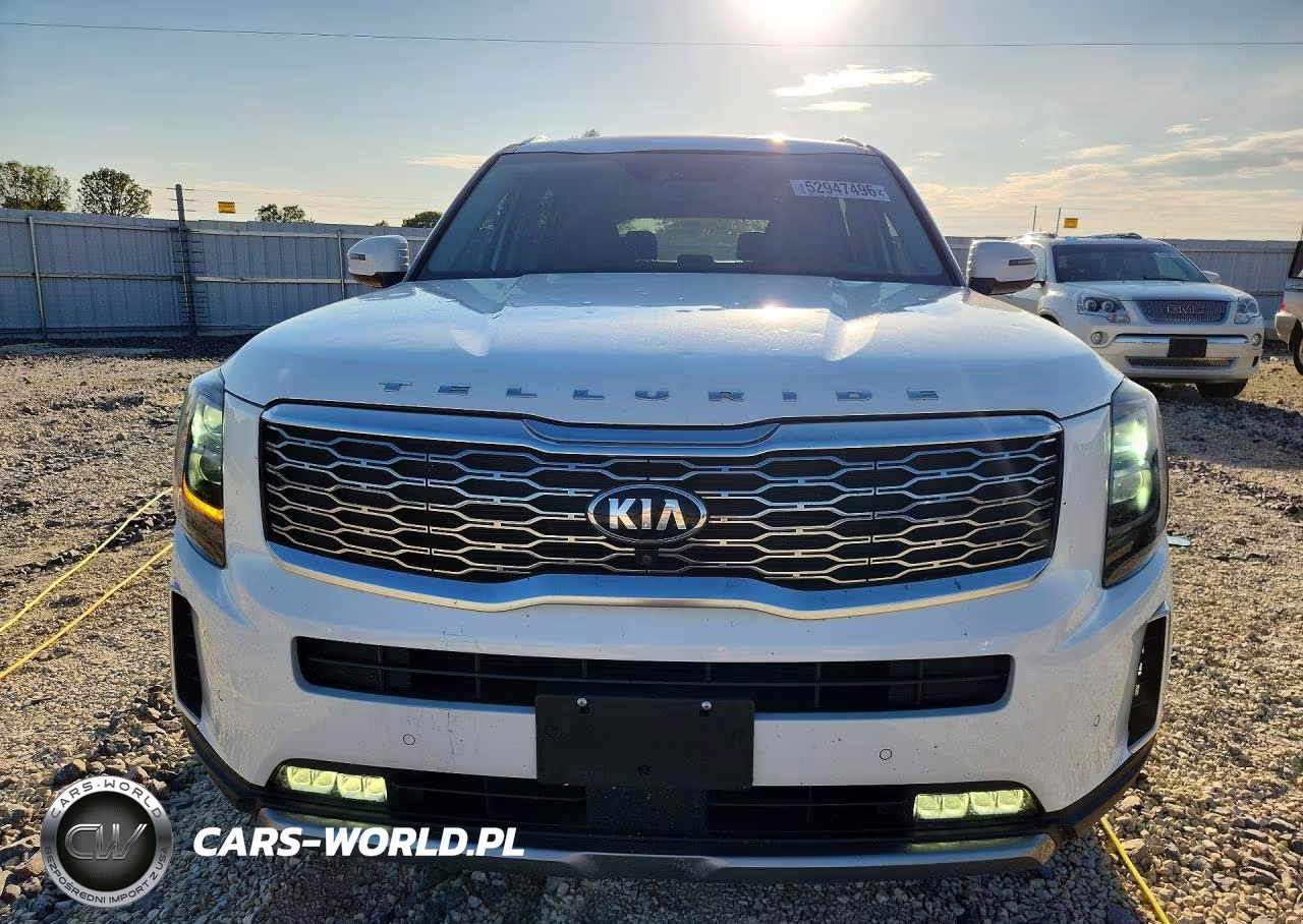 2020 Kia Telluride Sx VIN:5XYP5DHC8LG013552 - 5